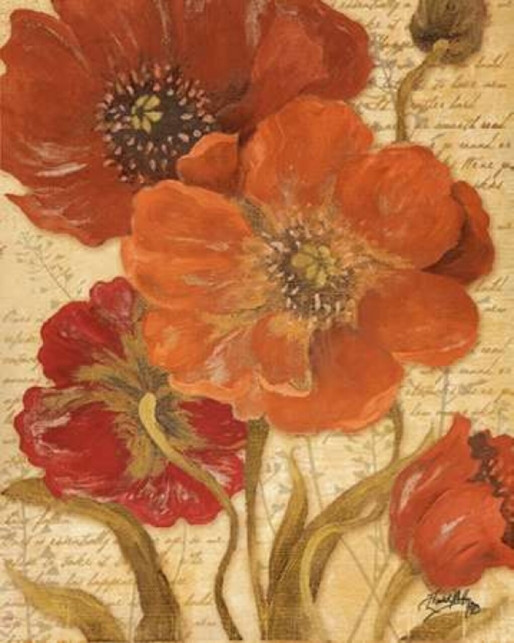 Red Scripted Beauty I Poster Print by Elizabeth Medley - Item # VARPDX9785H